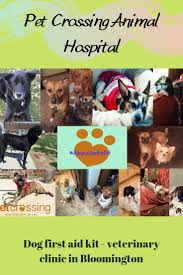 Dog First Aid Kit Pet Crossing Animal Hospital Animal Hospital Cat Health Cat Health Care