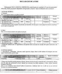 Primarii Din Alba Sunt Ceva Mai SÄƒraci In DeclaraÅ£iile De Avere Alba24
