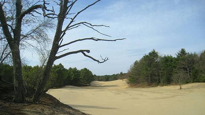 The Desert of Maine