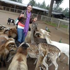 World S Largest Petting Zoo Best Place On Earth Bandon Or Oregon Road Trip Bandon Oregon California Travel