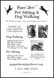 Initial consultation is always complimentary. Dog Walking Pet Sitting Classifieds For Jobs Rentals Cars Furniture And Free Stuff