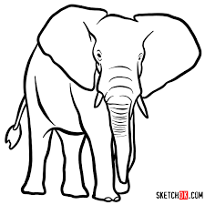 Then, draw rectangles off of the oval for the elephant's legs. How To Draw An Elephant Front View Wild Animals Sketchok Easy Drawing Guides