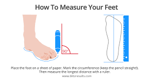 1) find your shoe size: Press Blitzresults Com