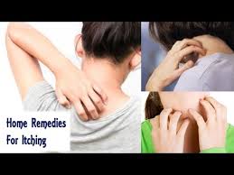 It mainly helps in relieving itching and inflammation caused due to skin rash. Home Remedies For Itchy Skin Quick Cure For Itching Youtube