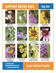Restoring The Landscape With Native Plants Bees Plants Pollinator Plants Plants