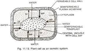 We did not find results for: Water Potential Qforquestions