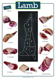 Lamb, hogget and mutton are terms for the meat from the domestic sheep at different ages. How To Choose Between Different Cuts Of Lamb Freddy Hirsch