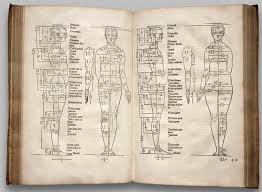 But it is important to understand the basics of human body proportions as well as abnormal body proportions. Human Figure Proportions Anatomy Course For Artists