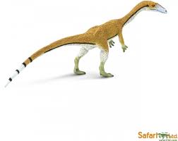 Coelophysis was a theropod dinosaur that lived approximately 203 to 196 million years ago in the late triassic to early jurassic in the united states. Safari Prahistorisches Leben Safari Coelophysis 304529