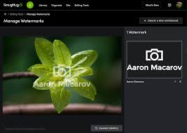 Image result for watermark