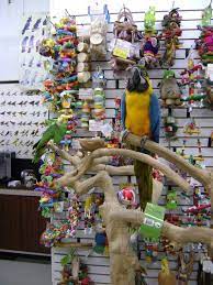 Live Birds Baker S Bird Shop Ltd Birds Bird House Kits Bird
