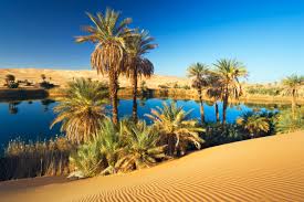 Мэттью макконахи, пенелопа крус, стив зан и др. Why The Sahara Sea Doesn T Exist Yet Conde Nast Traveler