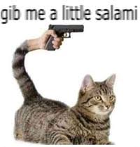 Cats salami can little a. Cats Can Have A Little Salami Image Gallery Sorted By Comments List View Know Your Meme