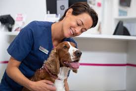 Pet health blogs list ranked by popularity based on social metrics, google search ranking, quality & consistency of blog posts & feedspot editorial teams review. Pet Health Plans Vets4pets