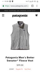 W2c Patagonia Vest For Summer Internship Couturereps
