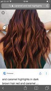 Pin By Celia Royal On Beauty And Body Dark Red Hair Dark Hair With Highlights Red Brown Hair