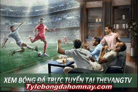 Tại thevang tv, sứ mệnh của chúng tôi là cung cấp đến người hâm mộ link xem đá banh trực tiếp, tất cả các giải đấu hấp dẫn nhất hành tinh, từ bóng đá anh, bóng đá tây ban nha, ý, pháp, tất cả đều có bình luận tiếng việt của các đài truyền hình k+ Thevang Tv Xem Bong Ä'a Online Má»—i Ngay Tá»· Lá»‡ Bong Ä'a Hom Nay Keo Nha Cai Má»›i Nháº¥t