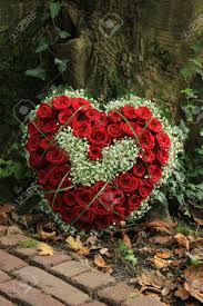 Funeral heart wreath funeral arrangements offer unique floral funeral wreaths and funeral heart arrangements that will beautify any funeral service. Heart Shaped Sympathy Flowers Or Funeral Flowers Near A Tree Red Roses Stock Photo Picture And Royalty Free Image Image 87547430