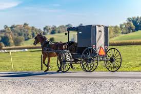 Top Things To Do In Amish Country Ohio A Great Family Destination Are there cheap things to do in lancaster? top things to do in amish country ohio
