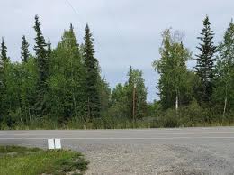 This can be a great way to buy dozens of acres of alaskan land cheap. Alaska Land Lots For Sale 2 773 Listings Zillow