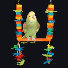 Tropical Safari Bird Swing Handmade Bird Toys African Grey Parrot Bird Store