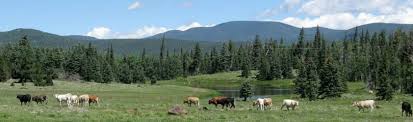 Rangeland management occurs at the nexus of ecology, soil science, hydrology, animal science. Rangeland And Grazing Issues New Mexico Department Of Agriculture