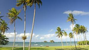 1,300 mi) northeast of new zealand.fiji consists of an archipelago of more than 330 islands—of which about 110 are permanently inhabited—and more. Fiyi Se Prepara Para Embate Del Poderoso Ciclon Yasa El Mundo Dw 16 12 2020