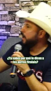 Firulais: El Perrito Fiel que Acompañó a su Dueño en sus Últimos Días