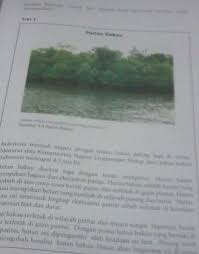 Tentukan kalimat utama pada teks 1 dan 2 diatas. Tentukan Kalimat Utama Pada Teks 1 Dan 2 Di Atas Brainly Co Id