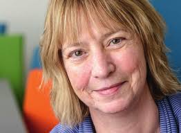 dm professionshøjskoler