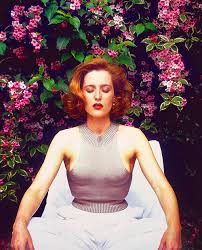 Log in or sign up to leave a comment log in sign up. Quantum Libulan Andersondaily Gillian Anderson