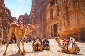 Are you buying the camel in africa, middle east, india or australia. 20 Things For Women To When Travelling In Jordan Journeywoman Com