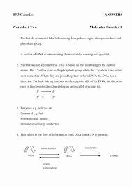 Transcription is the transfer of genetic instructions in dna to mrna in the nucleus. Dna Rna Protein Synthesis Worksheet Printable Worksheets And Activities For Teachers Parents Tutors And Homeschool Families