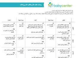 نتيجة بحث الصور عن جدول اكلات الاسبوع baby center