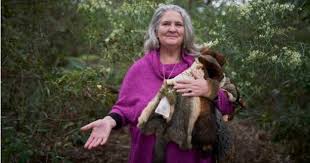 Healing corroboree begins with sacred sounds | South Coast Register | Nowra, NSW