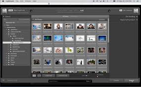 Guide to Digital Media Management for Photographers and Videographers