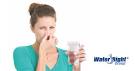 Whataposs that Smell? Reasons Your Water Stinks Water-Right