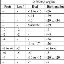 Temperatures At Which Fruit Tree Organs Suffer Frost Damage