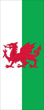 Finde illustrationen von wales flagge. Walesfahne Hochformat 110 G M Www Flaggenmeer De