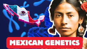 Mexican Harpist Gonzalo Mata