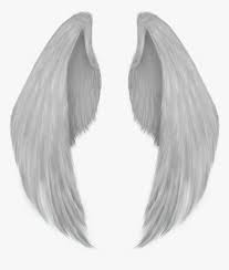 Fold the paper half and make a weak pencil line on the folded vertical line. Angel Wing Drawing Angel Wings Png Transparent Png Transparent Png Image Pngitem