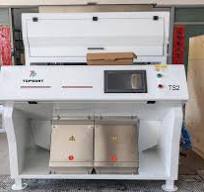High Performance Sago Color Sorter Sago Color Sorting ...