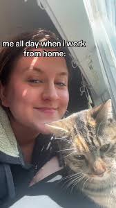 she must be so sick of me lol #cat #workfromhome #wfh #catsoftiktok #fyp