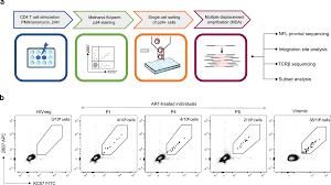 Check spelling or type a new query. In Depth Single Cell Analysis Of Translation Competent Hiv 1 Reservoirs Identifies Cellular Sources Of Plasma Viremia Nature Communications