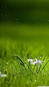 You can also upload and share your favorite hd nature android phone wallpapers. 3d Nature Wallpaper For Android Mobile Free Download Doraemon