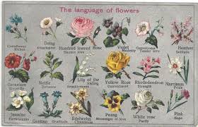 The Language Of Flowers Language Of Flowers Flower Meanings Spring Wedding Flowers