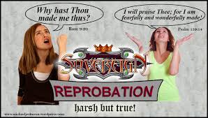 | meaning, pronunciation, translations and examples. John Macarthur On Reprobation
