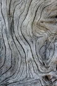 Natural Wood With Grey Textures Organic Forms Woodgrain Line Patterns In Nature Patterns In Nature Texture Photography Texture