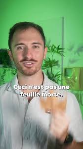 Pourquoi les arbres perdent leurs feuilles ?🍁 #arbres #nature #science  #culturegenerale