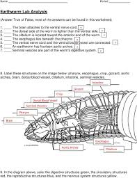 Earthworm Anatomy Label The Diagram Answer Key Aflam Neeeak